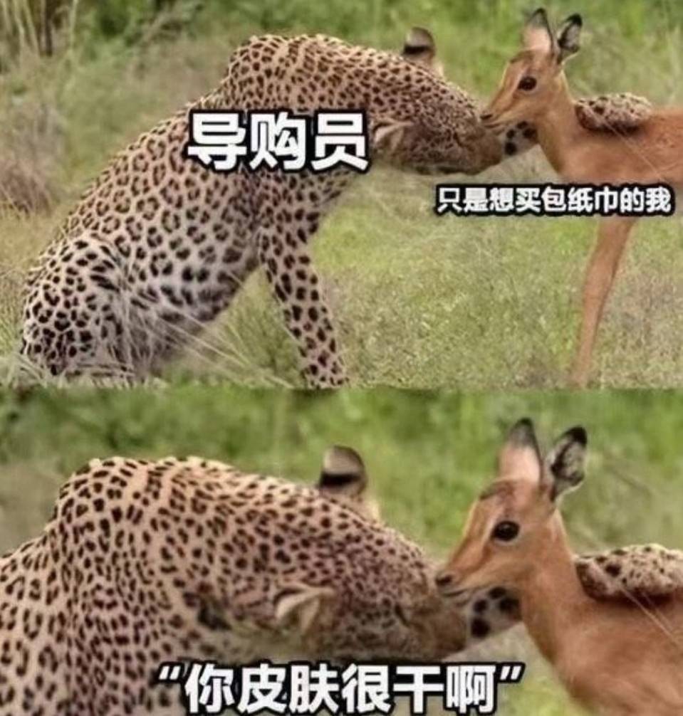 һںͼƷϵ ߸Ьȥ