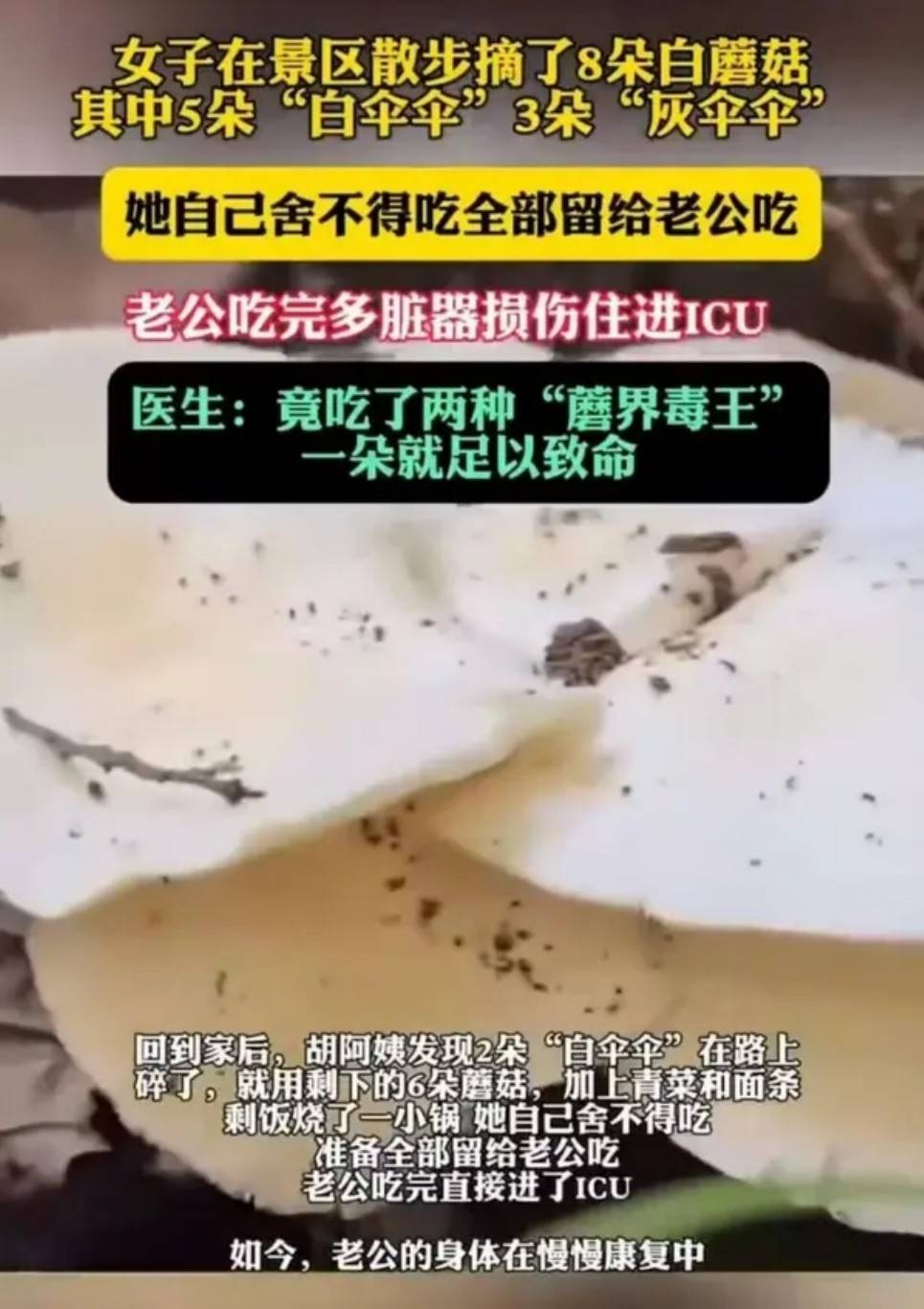 һںͼƷϵ ߸Ьȥ