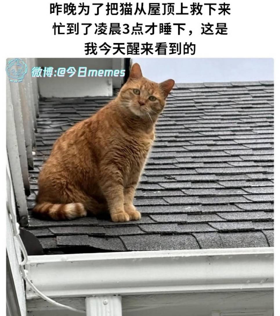 һںͼƷϵ ߸Ьȥ