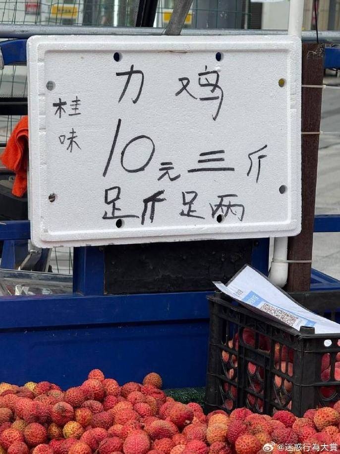 3DM轻松一刻第1500期 一看妹子就是专业学过舞蹈