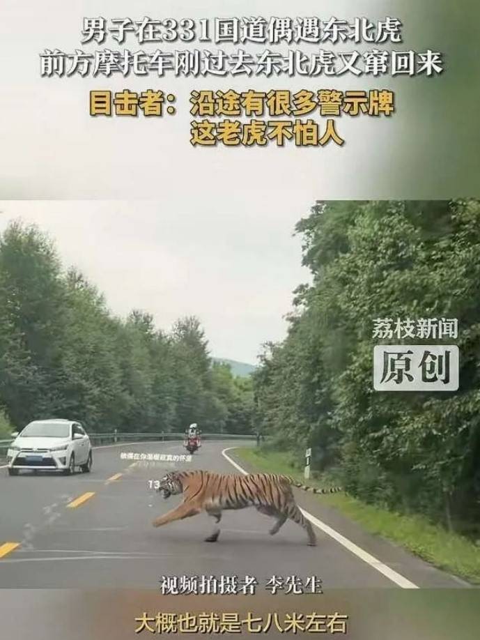 周五福利囧圖云飛系列 清風不解風情未撩美女長裙