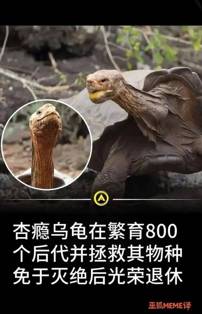 周五福利囧圖云飛系列 清風(fēng)不解風(fēng)情未撩美女長(zhǎng)裙