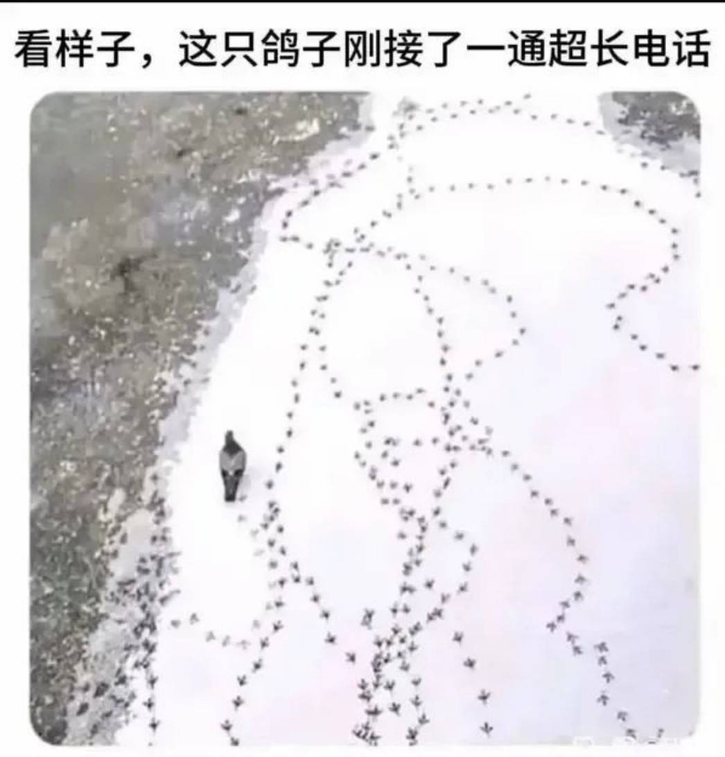 周五福利囧圖云飛系列 清風不解風情未撩美女長裙