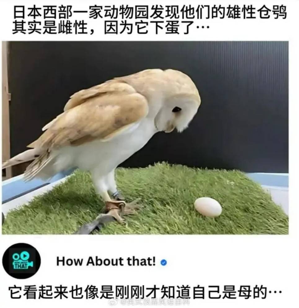 周一內(nèi)涵囧圖云飛系列 美女懂禮貌又青春靚麗！