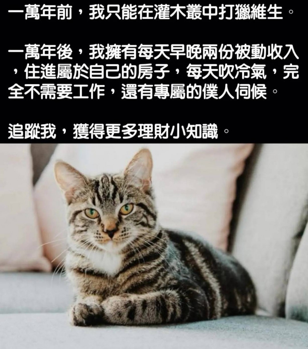 周一內(nèi)涵囧圖云飛系列 美女懂禮貌又青春靚麗！