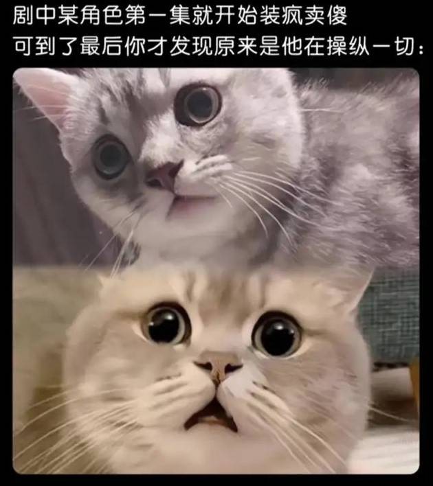3DM輕松一刻第1504期 死丫頭凈做些讓我高興之事