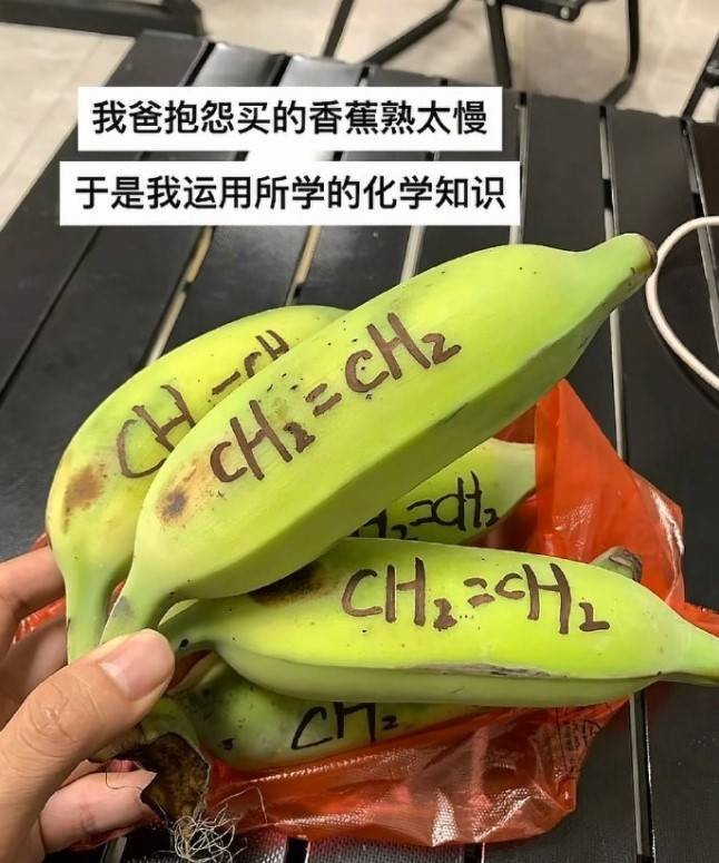 3DM輕松一刻第1504期 死丫頭凈做些讓我高興之事
