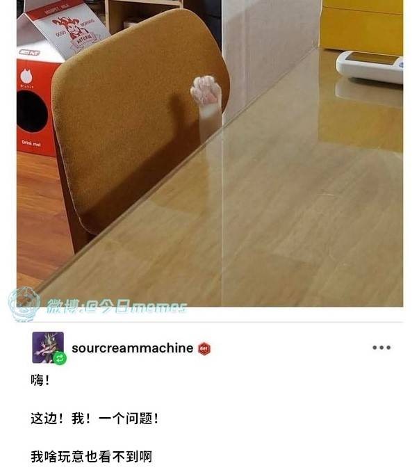 3DM輕松一刻第1504期 死丫頭凈做些讓我高興之事
