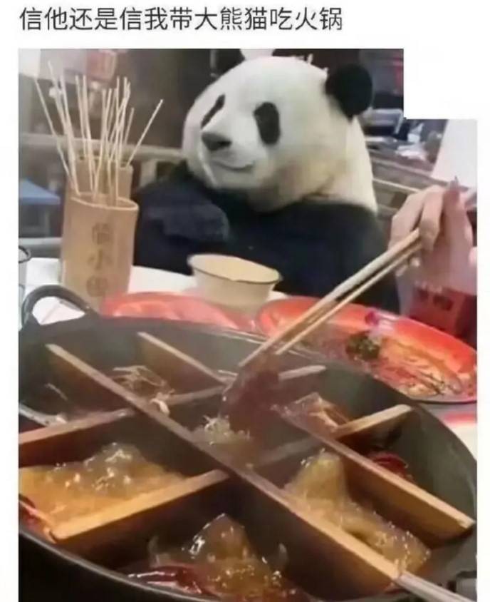 3DM輕松一刻第1505期 雖然撞了下但我感覺你賺了