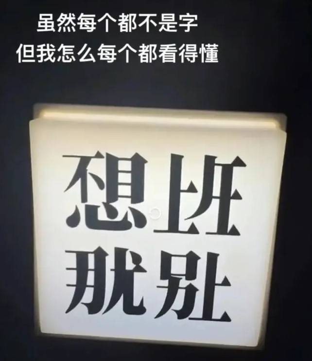 3DM輕松一刻第1506期 不懂就問(wèn)這款絲襪學(xué)名叫啥