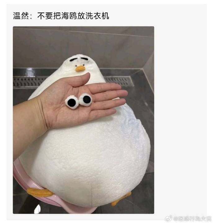 3DM輕松一刻第1506期 不懂就問(wèn)這款絲襪學(xué)名叫啥