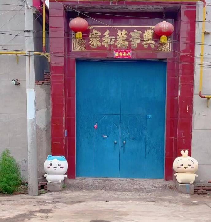 3DM輕松一刻第1506期 不懂就問(wèn)這款絲襪學(xué)名叫啥