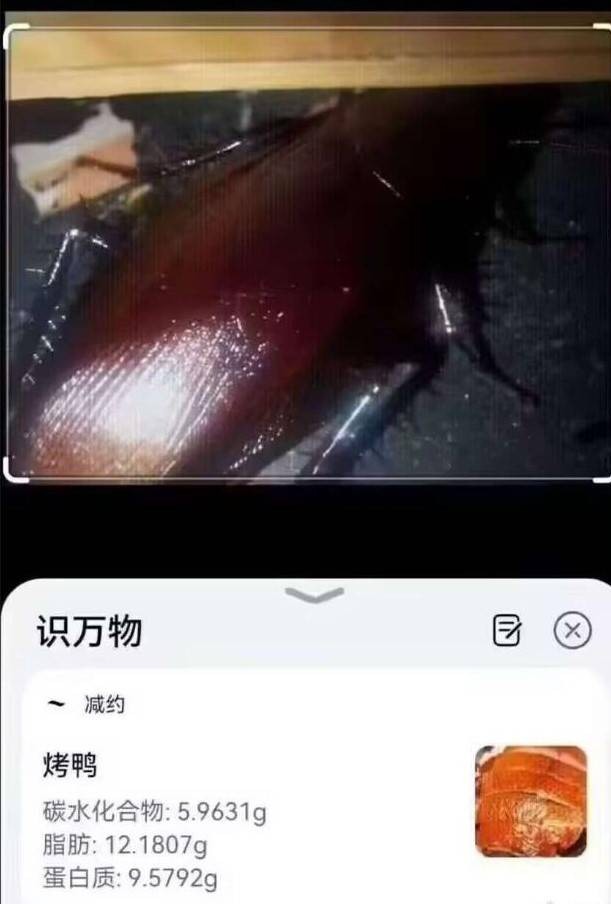 3DM輕松一刻第1506期 不懂就問這款絲襪學(xué)名叫啥