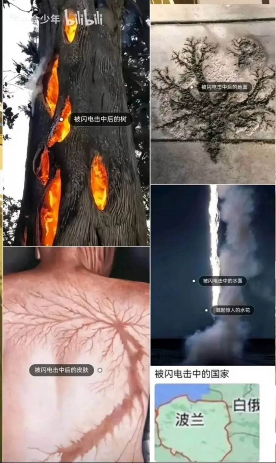 周五福利囧圖云飛系列 扎馬尾好看還是放下來好看