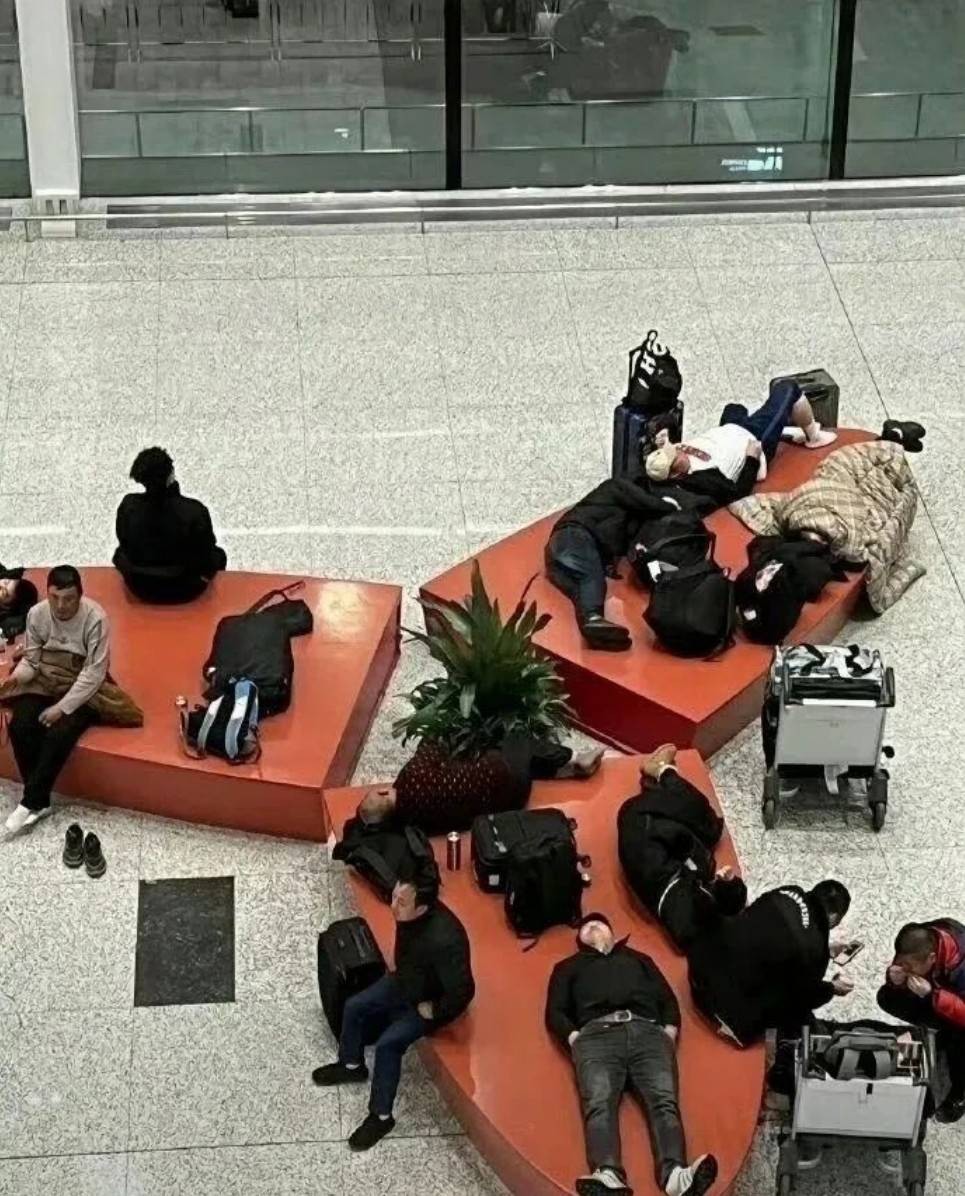 周五福利囧圖云飛系列 扎馬尾好看還是放下來好看