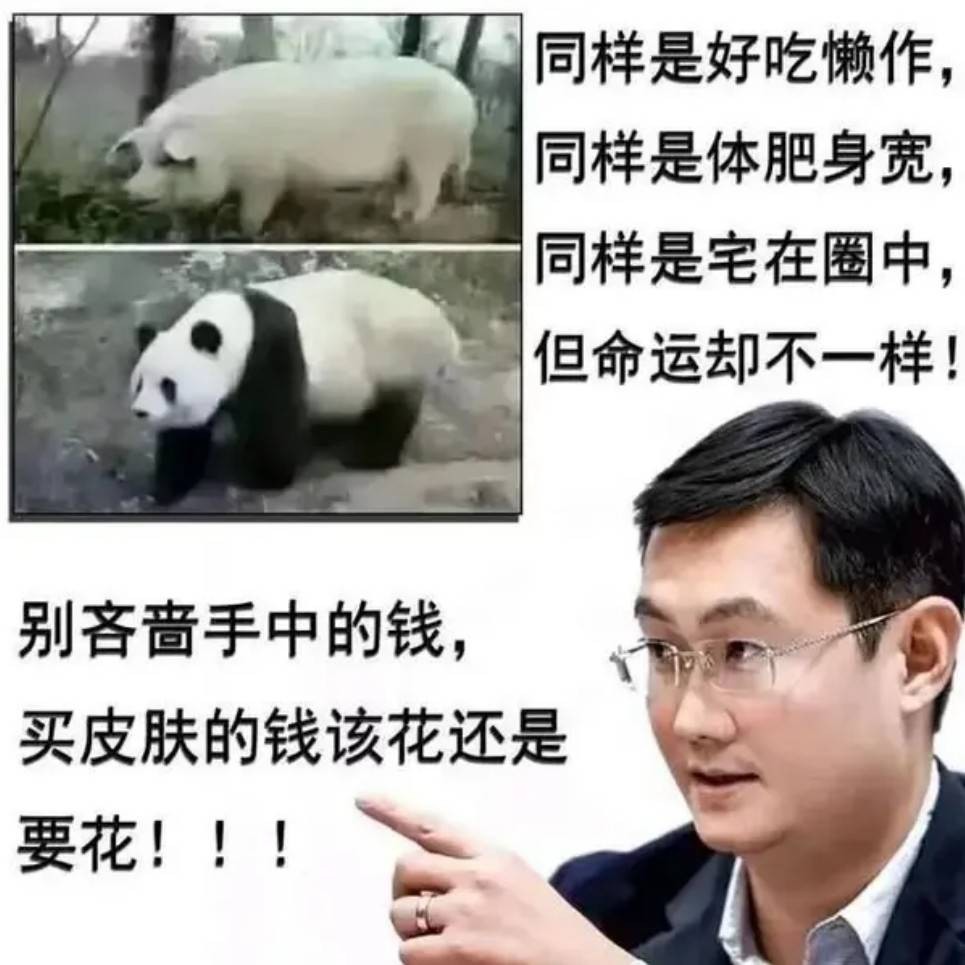 周五福利囧圖云飛系列 扎馬尾好看還是放下來好看