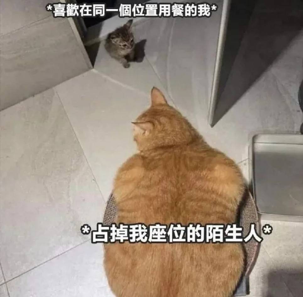 周五福利囧圖云飛系列 扎馬尾好看還是放下來好看