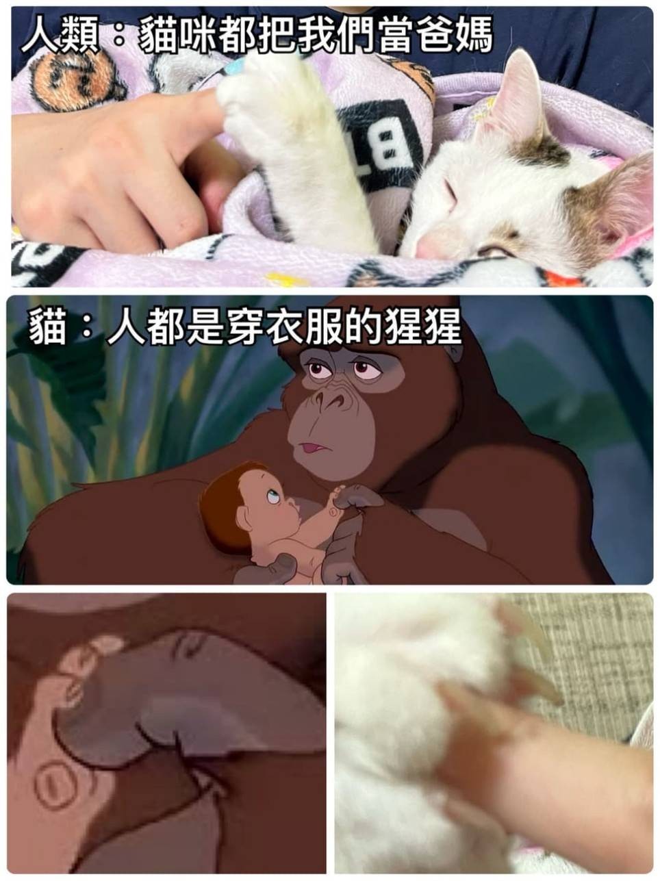 周五福利囧圖云飛系列 扎馬尾好看還是放下來好看