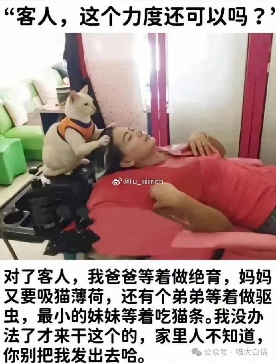 周五福利囧圖云飛系列 扎馬尾好看還是放下來好看