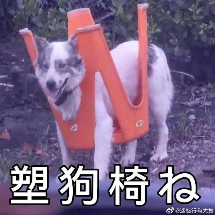 3DM輕松一刻第1507期 讓人驚呆！女朋友被偷親了