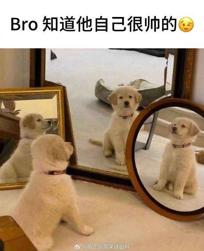 轻松一刻第1511期 小猫咪有啥坏心应该是饿了