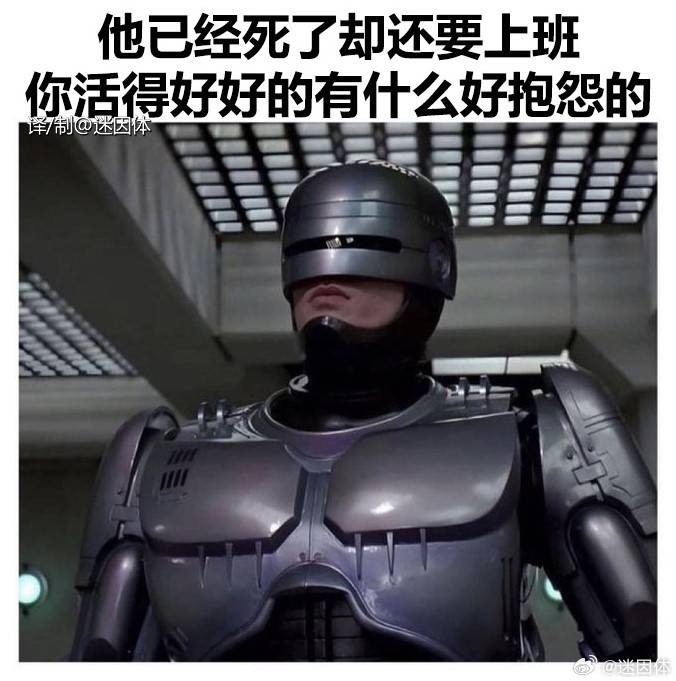 3DM輕松一刻第1511期 小貓咪有啥壞心應該是餓了