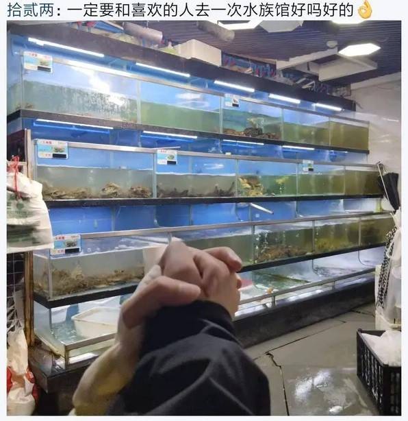 3DM輕松一刻第1512期 腳踏實(shí)弟咪盡全力十分搞笑