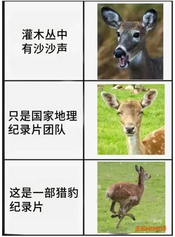 3DM輕松一刻第1512期 腳踏實弟咪盡全力十分搞笑