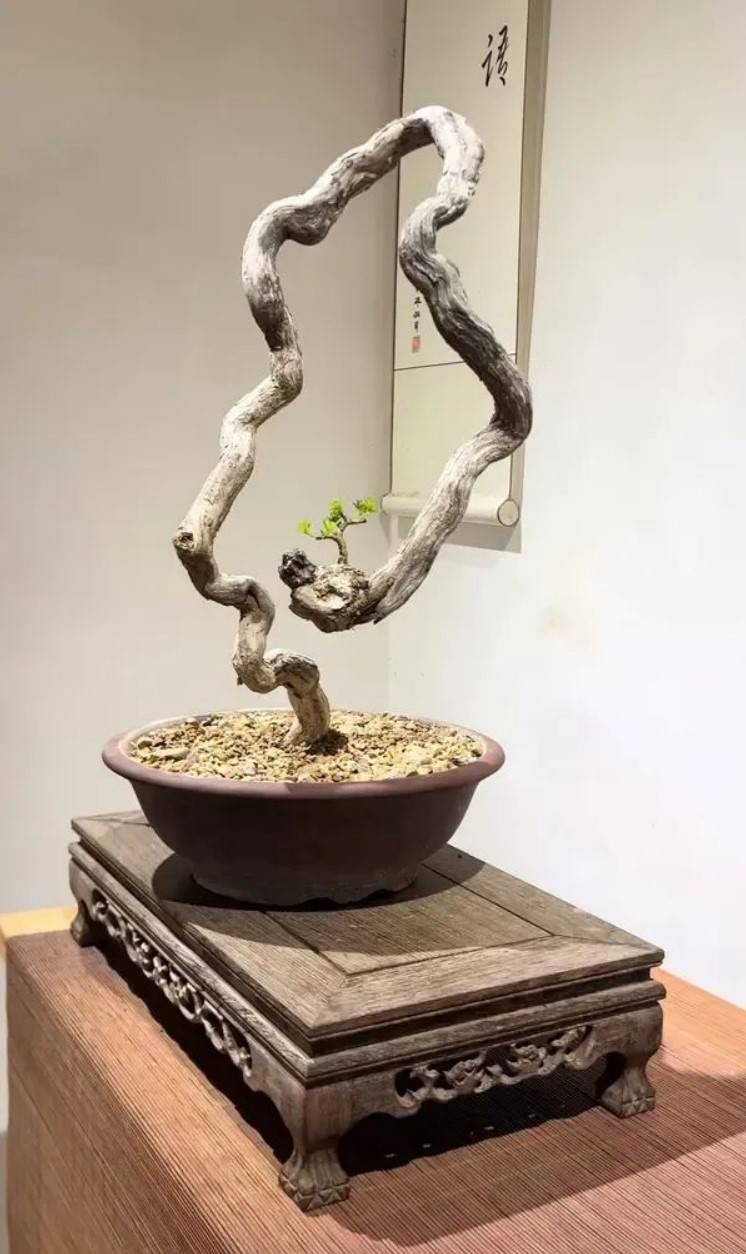 周五福利囧圖云飛系列 大長腿好身材美女誰不喜歡