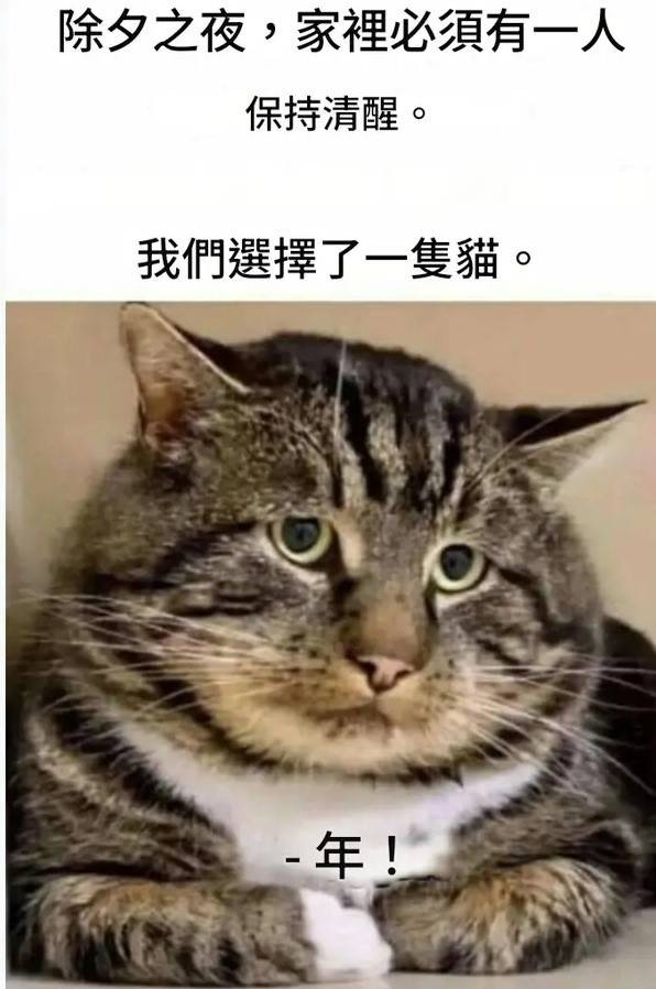 3DM輕松一刻第1513期 看得出來(lái)姑娘潛力還比較大