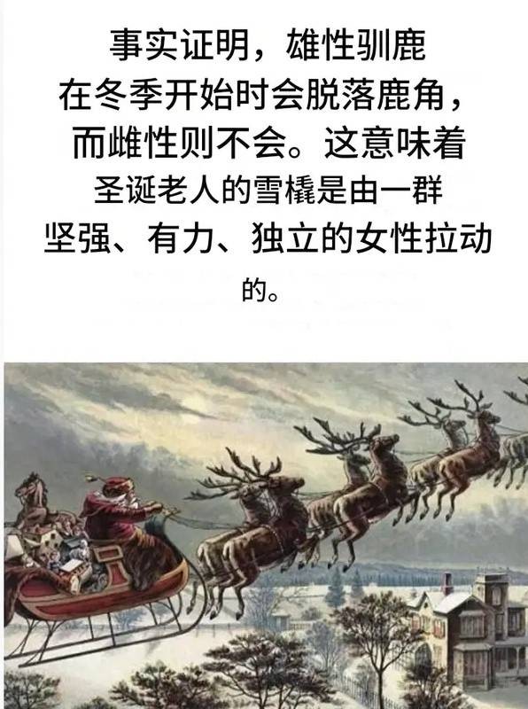 3DM輕松一刻第1513期 看得出來姑娘潛力還比較大