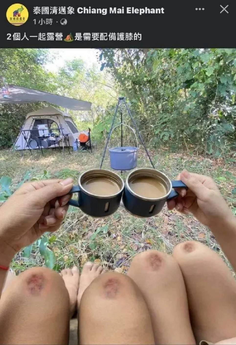 周一內涵囧圖云飛系列 現在女裝的質量真的不行！