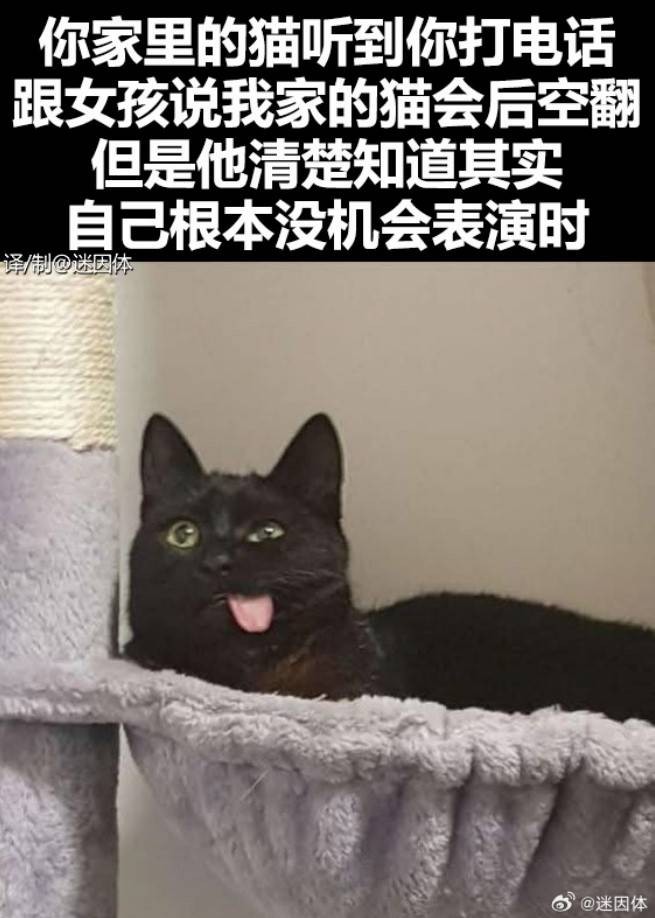 3DM輕松一刻第1515期 美女在公共場合能放得開