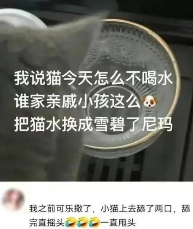 3DM輕松一刻第1515期 美女在公共場(chǎng)合能放得開(kāi)