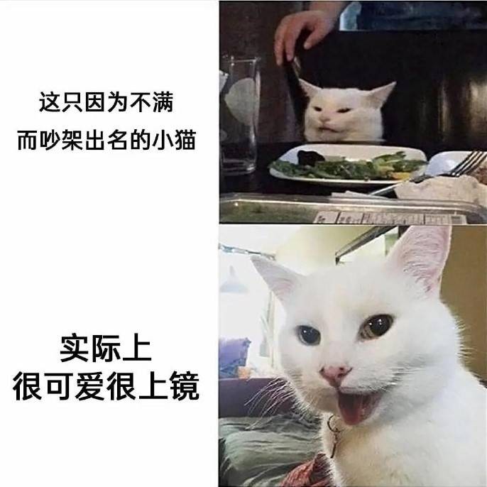 3DMһ̵1516 ɶô·Ҫ