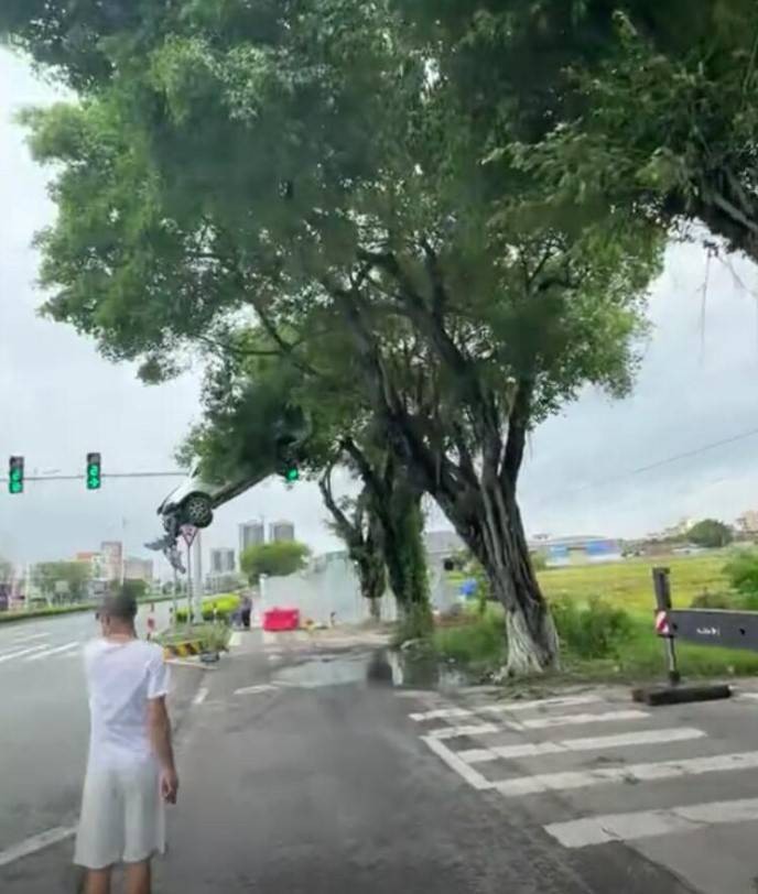 3DMһ̵1516 ɶô·Ҫ