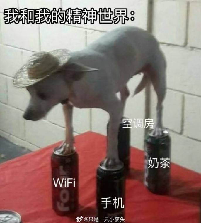 轻松一刻第1518期 只要舞跳的好哪里都是舞台
