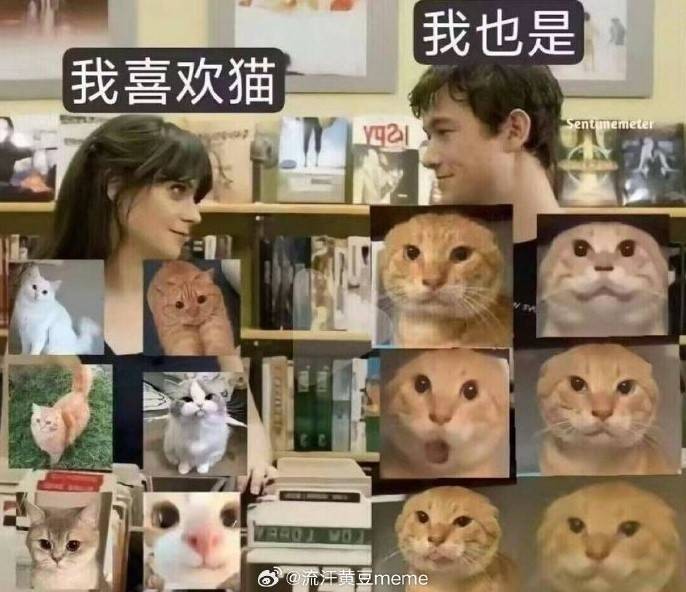 轻松一刻第1518期 只要舞跳的好哪里都是舞台