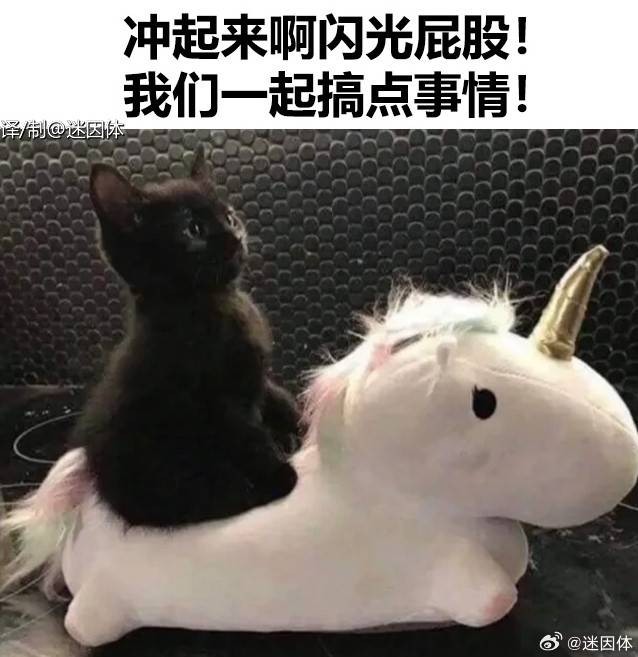 3DM輕松一刻第1518期 只要舞跳的好哪里都是舞臺(tái)
