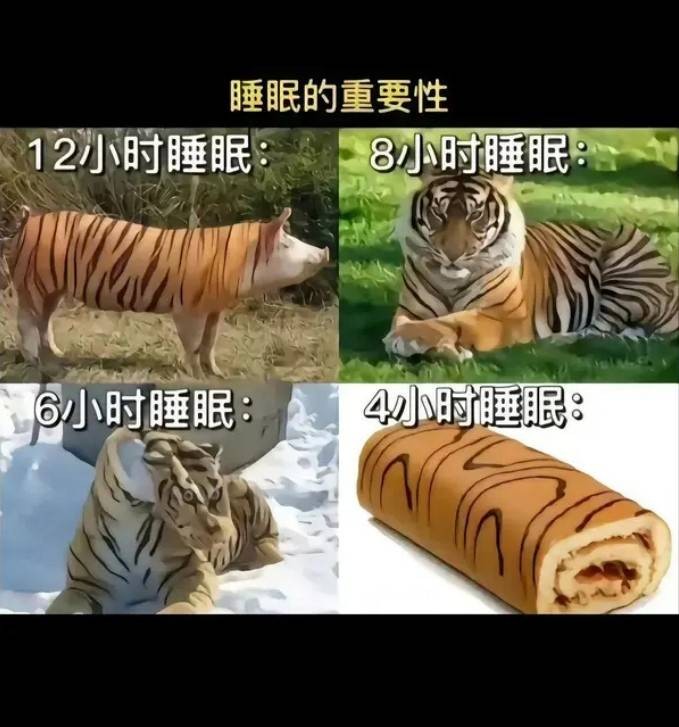 3DMһ̵1518 ֻҪĺﶼ̨