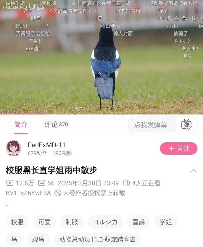 3DMһ̵1520 ƣֻŮǾο