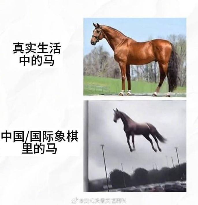 3DMһ̵1521 ȡжǮ