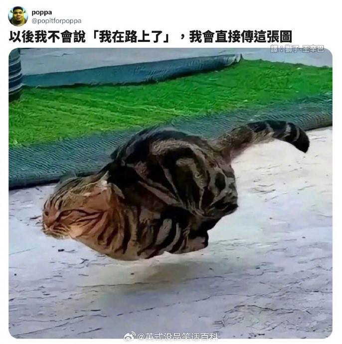 3DM輕松一刻第1522期 被大哥哥抱出水坑的小蘿莉