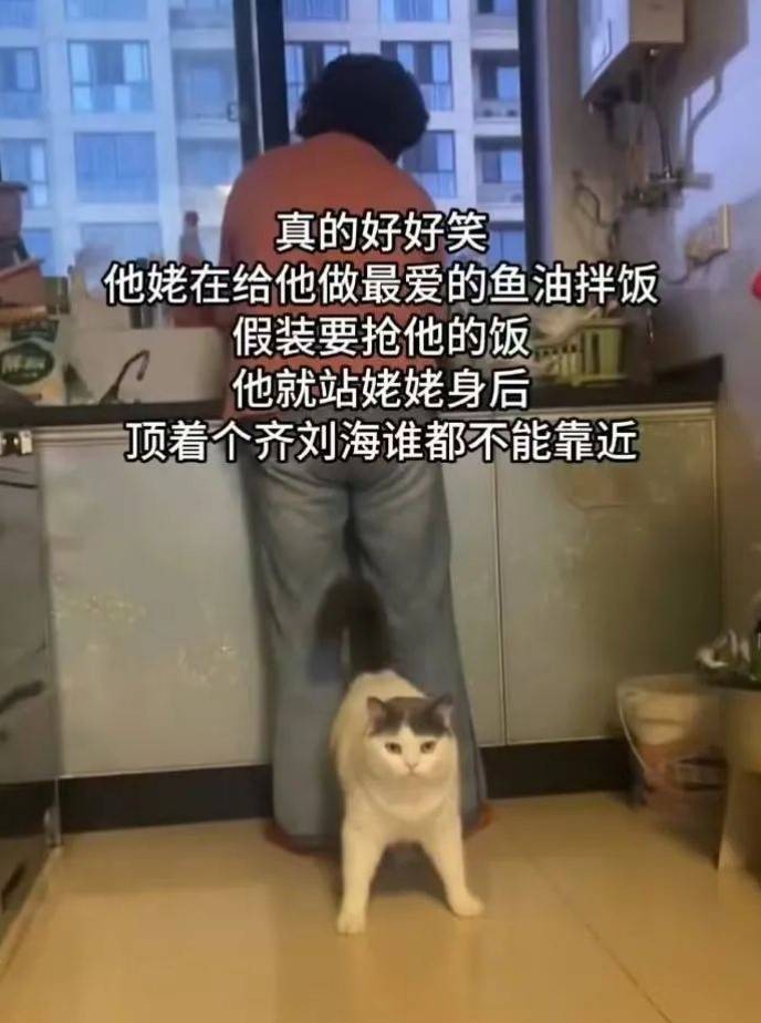 周五福利囧圖云飛系列 都說穿婚紗的女人最美麗！