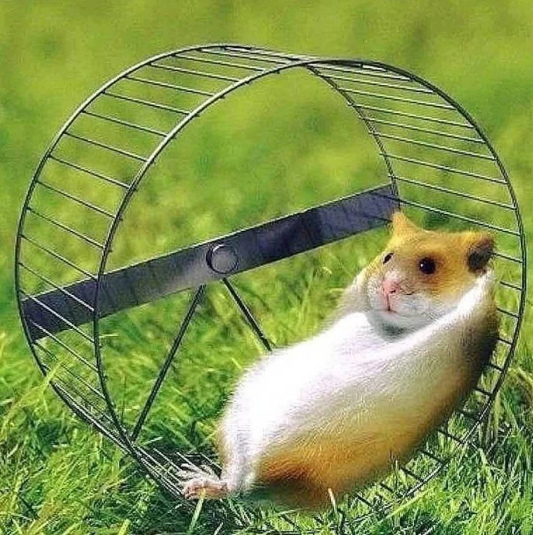 һںͼƷϵ ľ֪ٵ