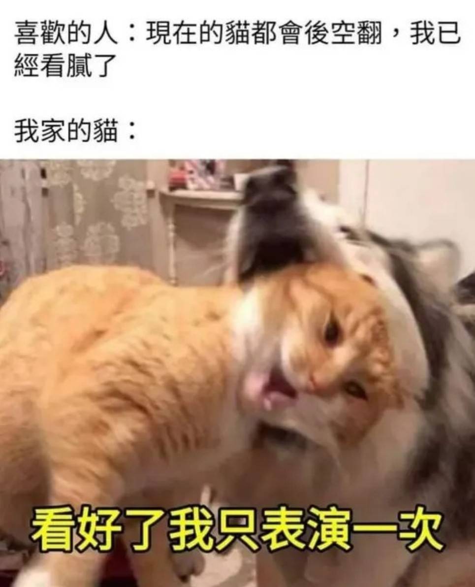 周一內(nèi)涵囧圖云飛系列 看身材就知道鋼琴?gòu)椀妹烂? /> 
</p>
<p align=