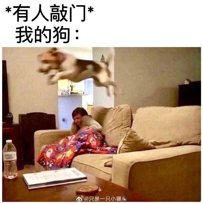 3DMһ̵1526 ŮĲô