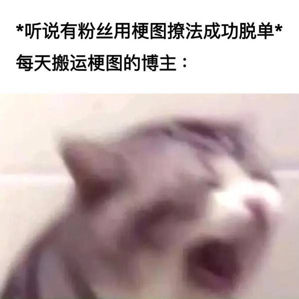轻松一刻第1527期 这旅游景点美女跳舞非常美