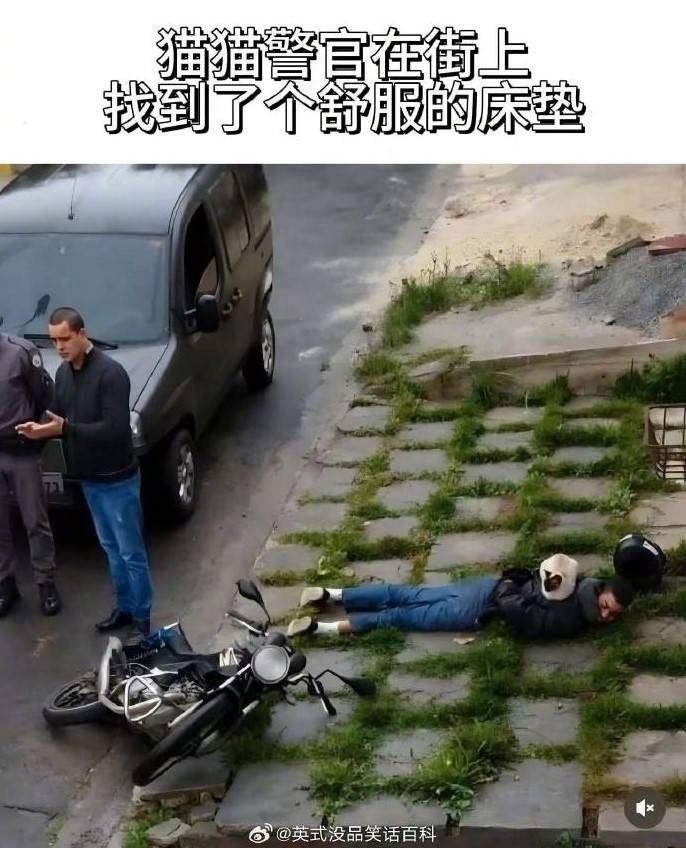 3DMһ̵1527 ξŮǳ