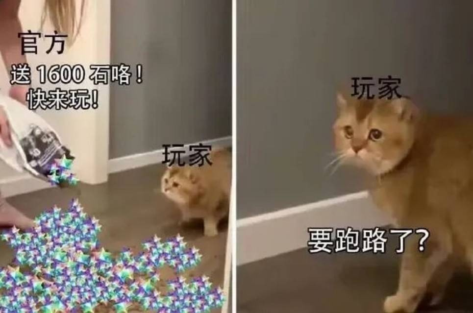 周五福利囧图云飞系列 妹子的好身材当然要秀出来